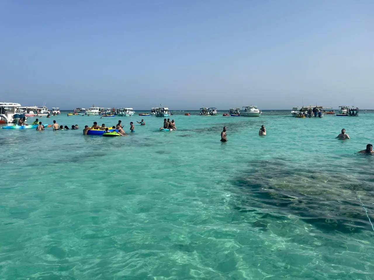 سباحة في مياه صافية